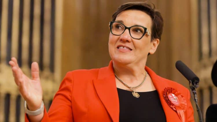 The amendment was tabled by Tonia Antoniazzi, the Labour MP for Gower and passed following a free vote.